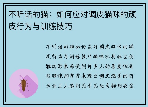 不听话的猫：如何应对调皮猫咪的顽皮行为与训练技巧