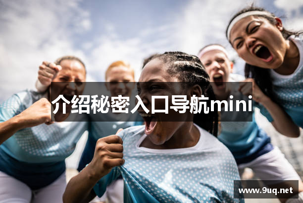 介绍秘密入口导航mini